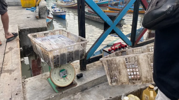 Kenaikan Beberapa Harga Komoditas, Babel Alami Inflasi 2,46% pada Mei 2026