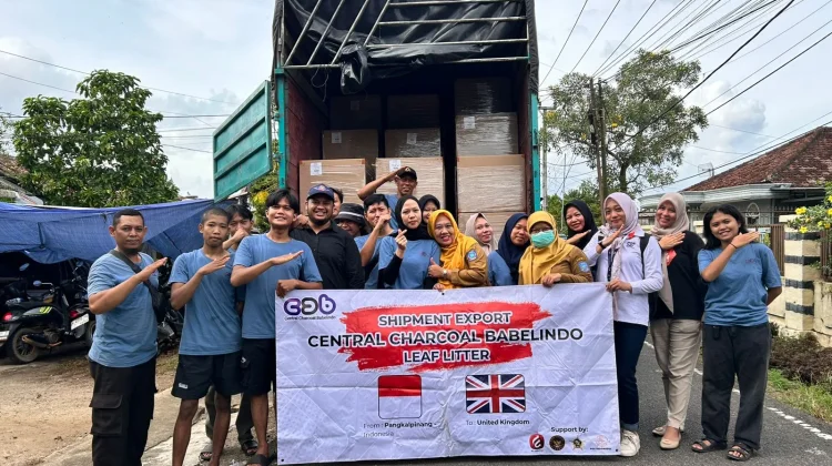Daun Manggis Kering dari Bangka Belitung Diekspor ke UK