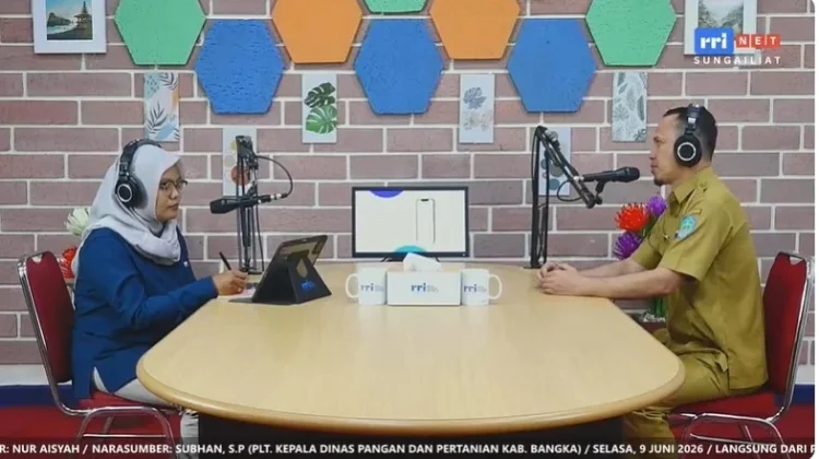 Bangka Belum Swasembada  Beras dan Daging Sapi