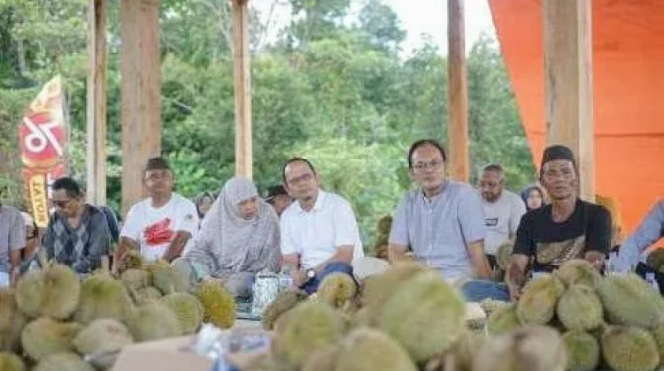 Gelar Tradisi 'Sedekah Kelekak', Warga Aik Mesu' Bagi 2.000 Butir Duren Gratis