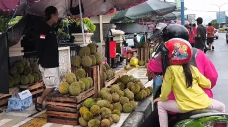 Rp28 juta Disiapkan untuk Hadiah Kontes Durian Babel 2026