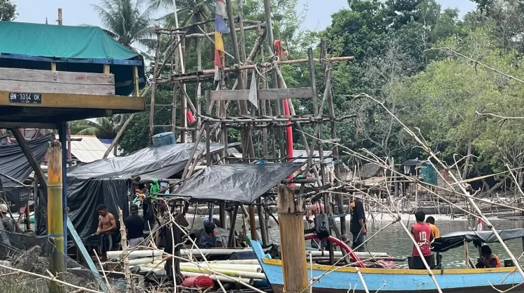 Dinsos Bangka Soroti Dugaan Peredaran Narkoba di Kawasan Pertambangan