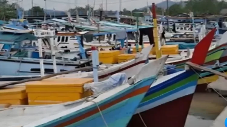 Nilai Produksi Perikanan di PPN Sungailiat Capai Rp64 miliar