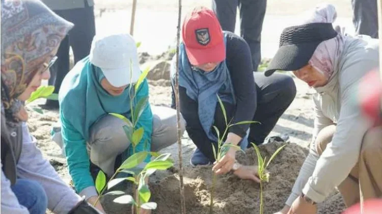 Hari Lingkungan Hidup Sedunia, GOW Bateng Tanam Mangrove & Pungut Sampah