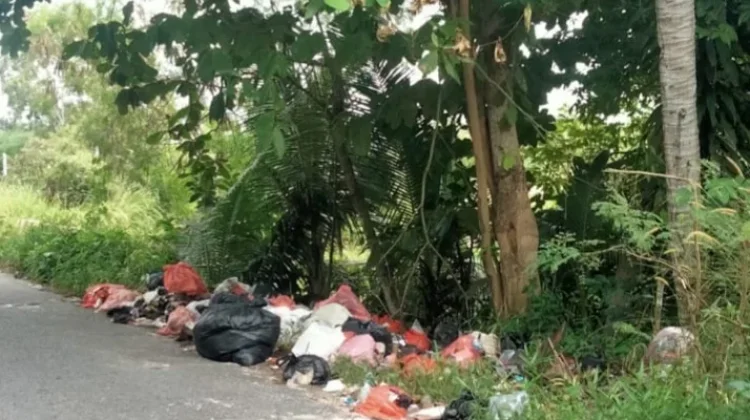Harga Beli Sampah DLH Bangka Capai Rp12.000 per Kilogram