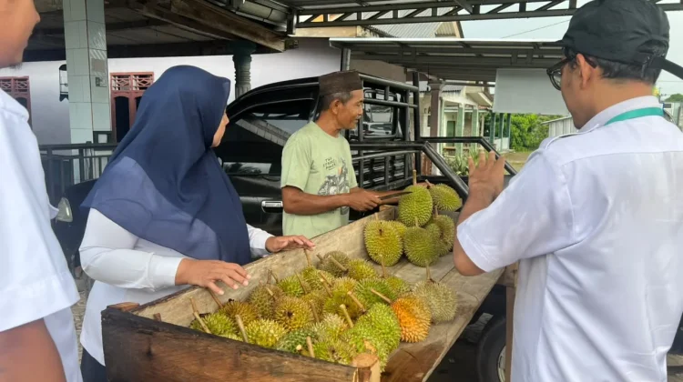 Wisata Durian di Desa Teruk Bangka Tengah