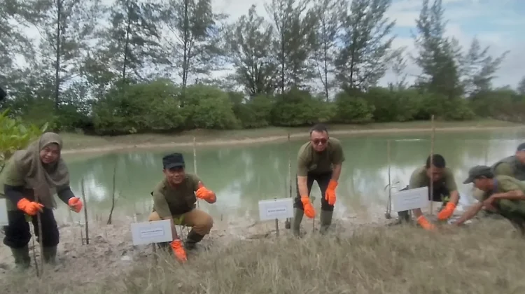 Merawat Pohon Jadi Kunci Sukses Program Penghijauan