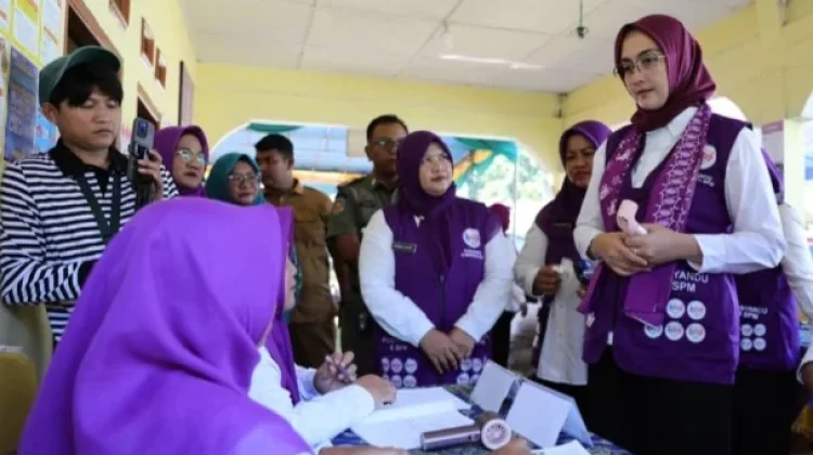 Posyandu Kini Punya 6 Layanan Dasar di Tingkat Desa