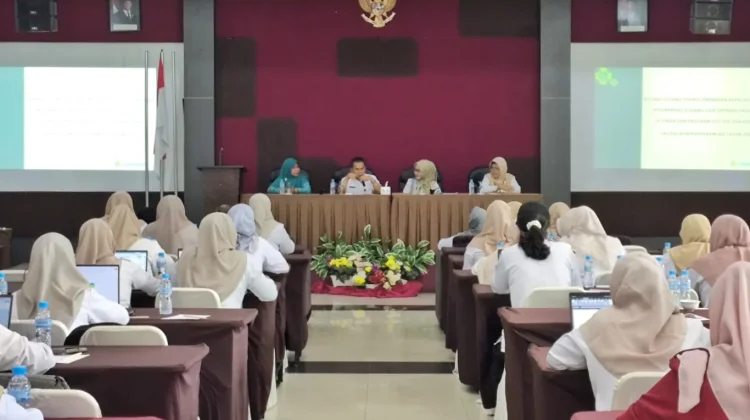 Dinkes Bangka Catat 171 Bumil Risiko Tinggi