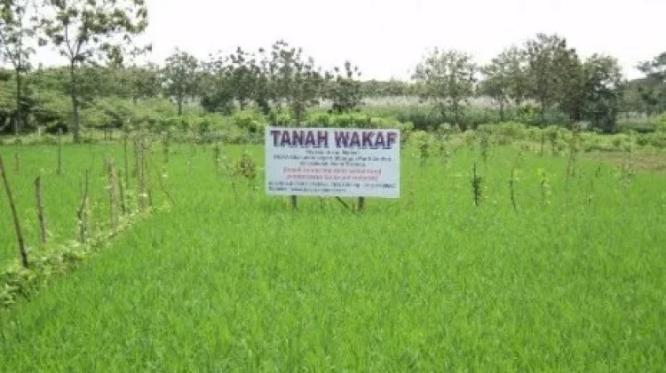 Sebanyak 900 Bidang Tanah Wakaf di Bateng Telah Bersertifikat