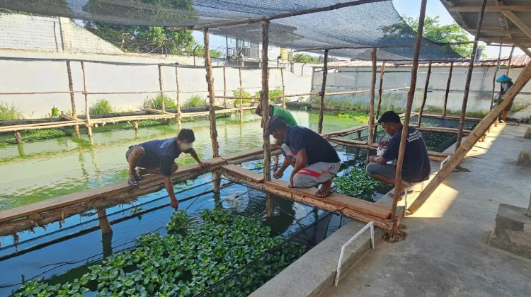 Agroedupark Dorong Pembinaan Produktif Warga Binaan di Lapas Pangkalpinang