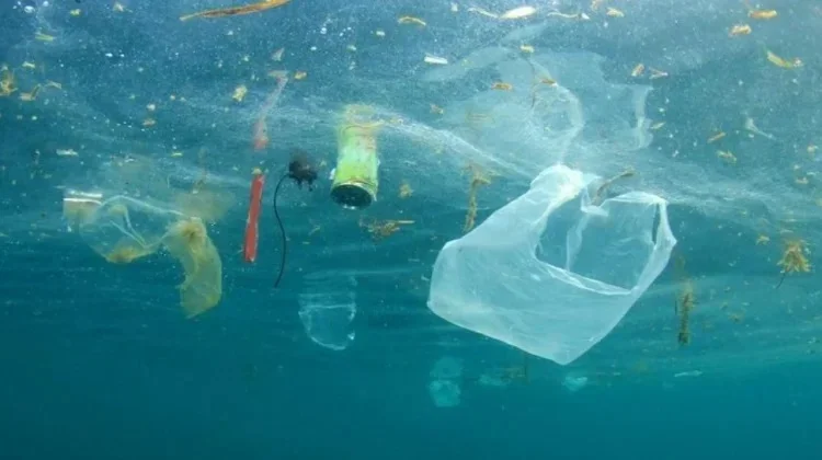 Hari Bebas Kantong Plastik Sedunia, Pemuda Belitung Ajak Bawa Tas Belanja Sendiri