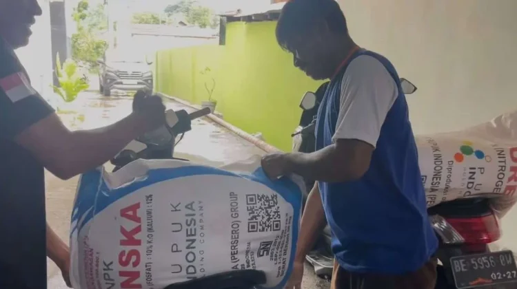 Pemkab Bangka Salurkan Pupuk Subsidi Dukung Ketahanan Pangan