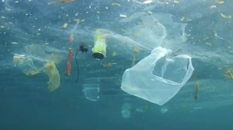 Hari Bebas Kantong Plastik ke-11: Ajak Warga Sungailiat Bawa Tas Belanja Sendiri