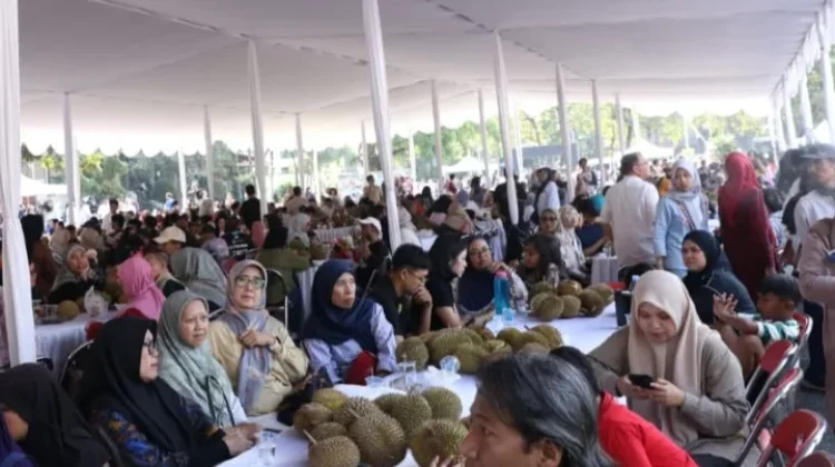 15 Ribu Durian Kelekak Dihabiskan Ribuan Warga Babel di Yogyakarta