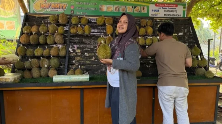 Durian Lokal Babel dari Kebun hingga Kontes