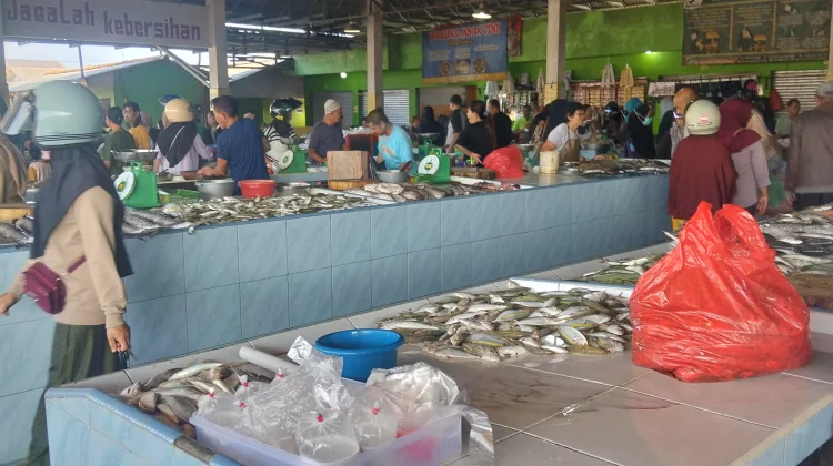 Harga Ikan di Pasar Higienis Relatif Tinggi, Tenggiri Rp120 Ribu per Kg