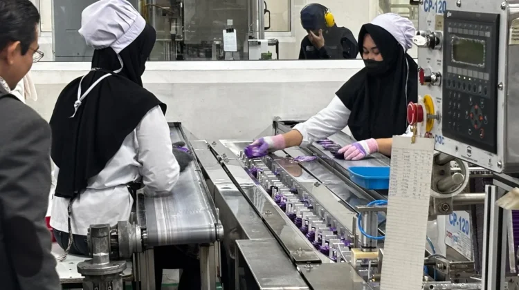 Pemkab Bangka Catat 28 TKA, Mayoritas Pekerja Lintas Wilayah