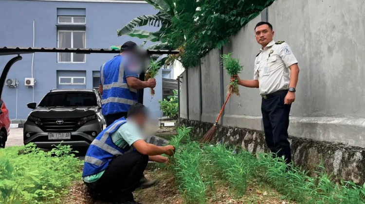 Bapas Tanjungpandan Libatkan Klien Kelola Lahan Tidur untuk Ketahanan Pangan