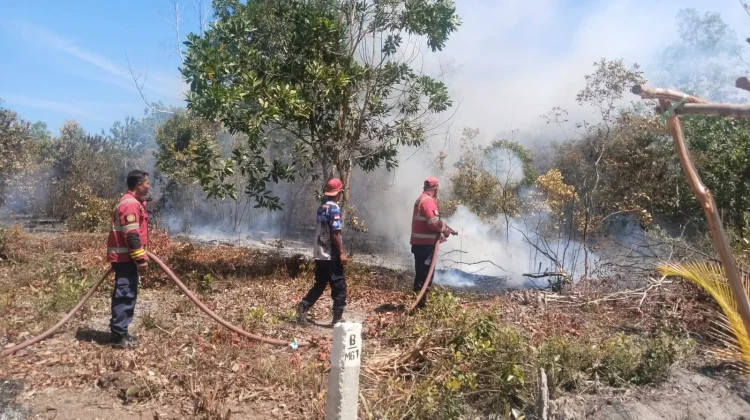 BPBD Belitung Catat 92 Kebakaran Lahan Terjadi sejak Januari 2026