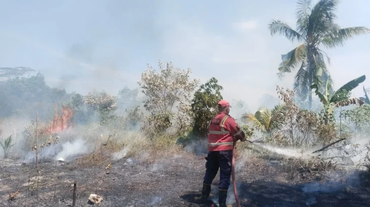 Cegah Kebakaran Lahan, BPBD Imbau Masyarakat Tidak Menyalakan Api Sembarangan