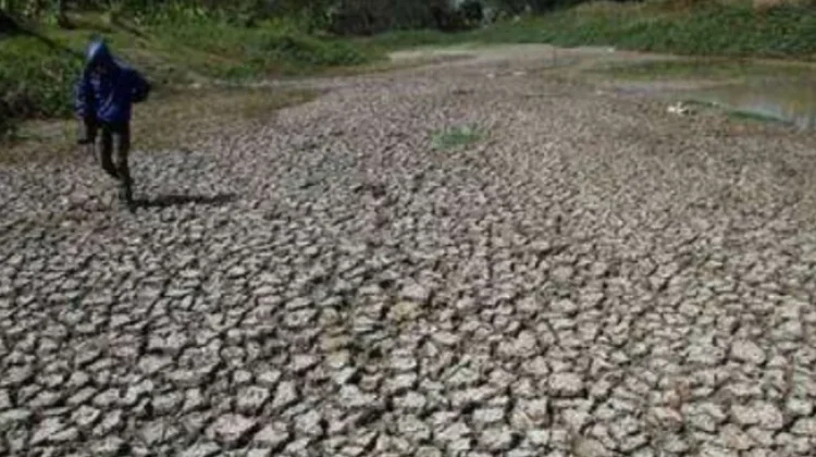 Bangka Selatan Alami Tingkat Kekeringan Lebih Tinggi