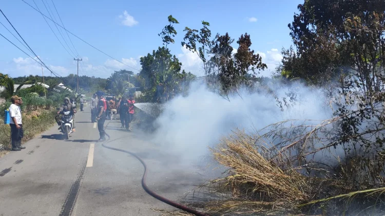 Puncak Musim Kemarau, Karhutla di Bangka Meningkat Signifikan