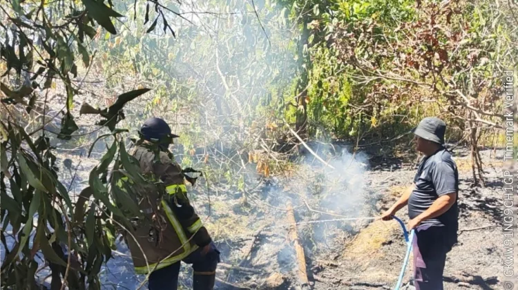 Tim Damkar Bangka Berhasil Tangani 10 Kebakaran dalam Sehari