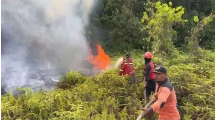 Puncak Kemarau Diprediksi Agustus-September
