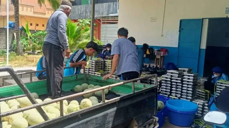 Sinergi KDMP dengan SPPG di Bangka Barat Terus Diperkuat