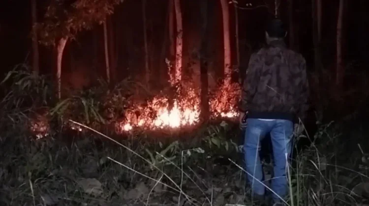 Hanya Sebulan, Karhutla di Babel Lahap 82 Hektar Lahan