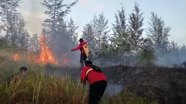 Kesadaran Warga Meningkat Dukung Pencegahan Karhutla Bangka