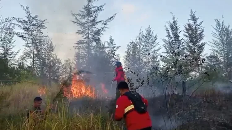 MPA Ajak Warga Hindari Pembakaran Lahan saat Kemarau