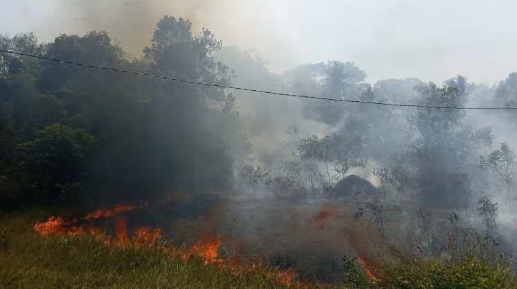 Lebih dari 11 Hektare Lahan Bangka Terbakar sejak Awal Juli