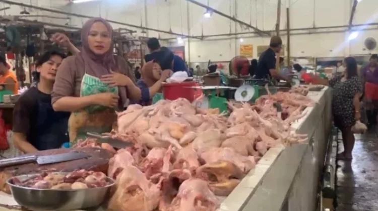 Harga Ayam di Sungailiat Tembus Rp36 Ribu, Pedagang Keluhkan Kenaikan