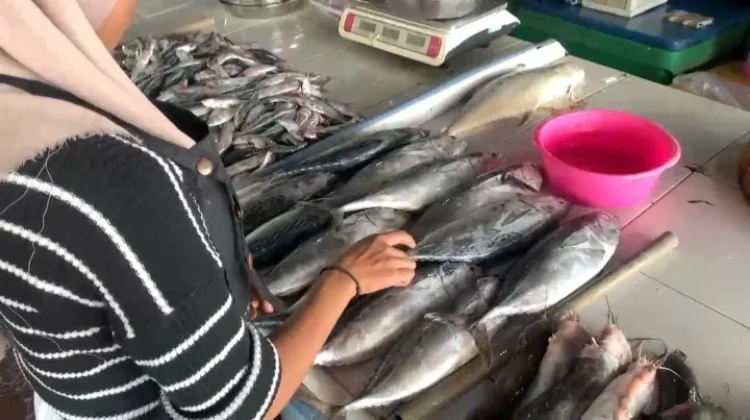Harga Ikan di Pasar Higienis Air Ruai Naik Rp5- Rp15 per kg