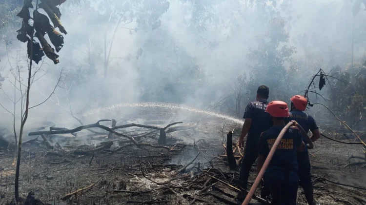 Antisipasi Kemarau Panjang, BPBD Bangka Bentuk Satgas Karhutla sejak April