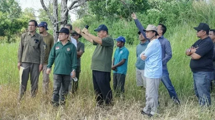 Batu Beriga Dijadikan Sentra Kebun Kelapa, Lahan 158,69 Hektar Disiapkan
