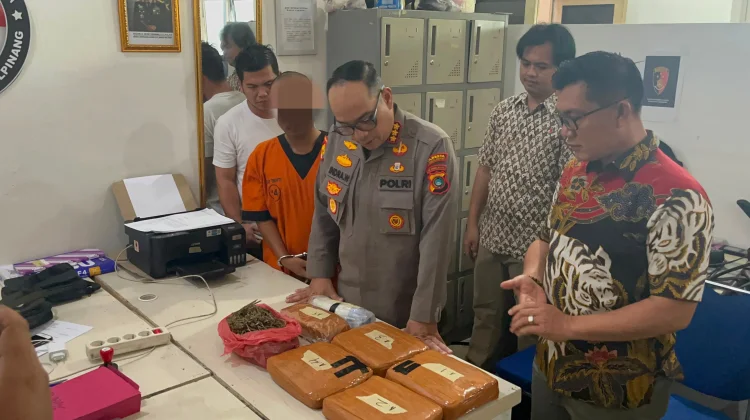 Polresta Pangkalpinang Ungkap Peredaran Ganja 4,86 Kilogram, Kurir Ditangkap