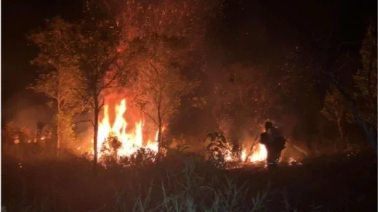 Bangka Barat Perkuat Kewaspadaan Hadapi Potensi Karhutla
