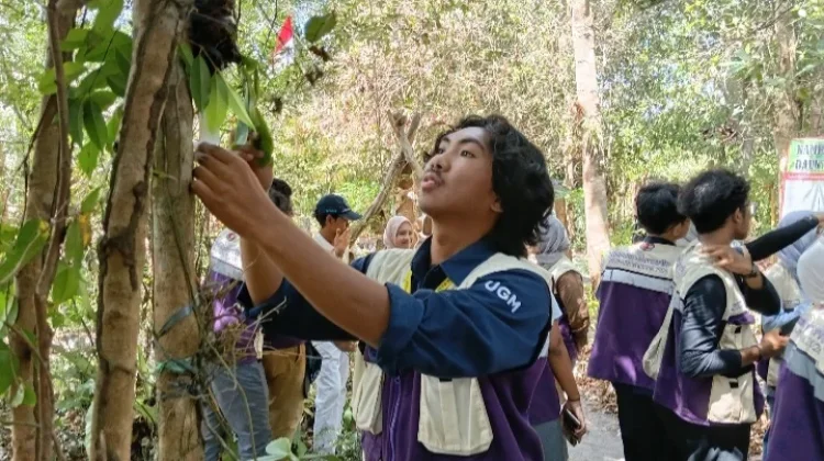 "Oleh-Oleh" Ilmu Konservasi: Mahasiswa KKN UGM Belajar Tanam Anggrek di Kampung Daun