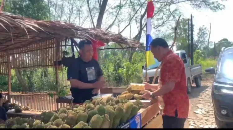 Musim Panen, Cempedak di Bangka Kini Cuma Rp5 Ribu - Rp20 Ribu per Buah