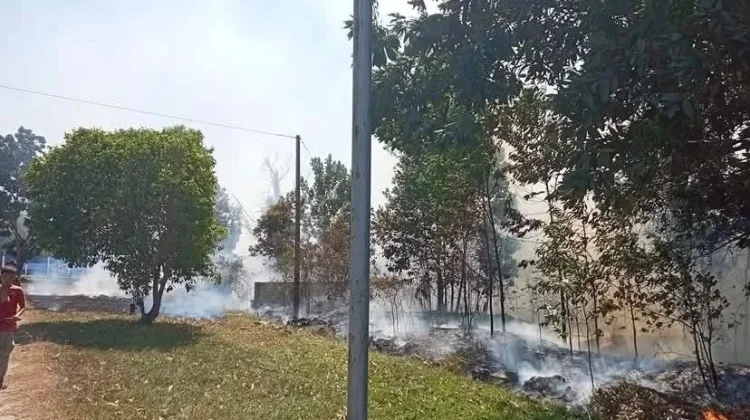 BMKG Deteksi 90 Titik Panas di Babel, Warga Diimbau Tak Bakar Lahan