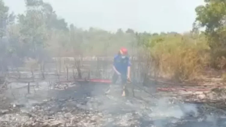 255 Kejadian Karhutla di Babel, BPBD Imbau Warga Jangan Bakar Lahan