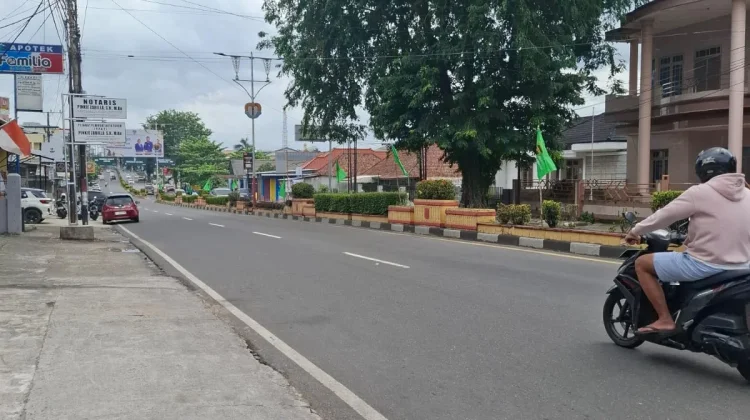 Halo RRI: Pohon Rimbun di Jl. Yos Sudarso Sungailiat Ancam Keselamatan Pengendara