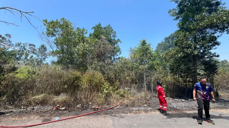 Musim Kemarau, Satpol PP Pangkalpinang Terima 3 Laporan Kebakaran Lahan Sehari