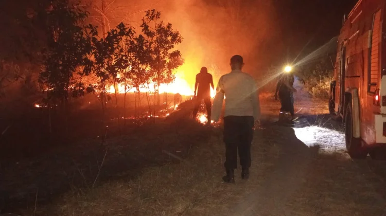 Sekitar 3 Hektare Lahan Terbakar di Pantai Matras Sungailiat