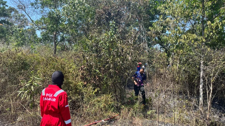 Damkar Catat 62 Kebakaran Lahan di Pangkalpinang