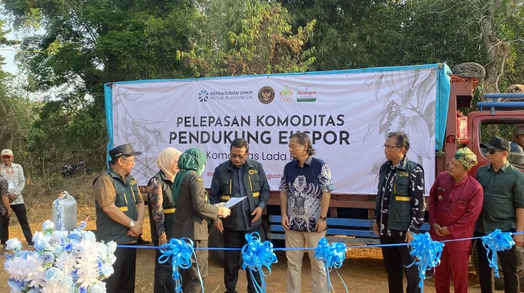 1.300 Petani Lada di Babel Dapat Kepastian Pasar dan Akses Pembiayaan