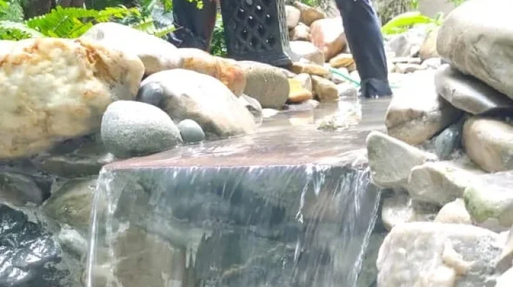 Rawat Kolam Ikan agar Tetap Bersih dan Sehat